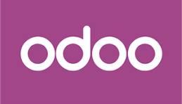 The Best Odoo Alternatives in 2025: Free and Paid Options for Your Rental Business